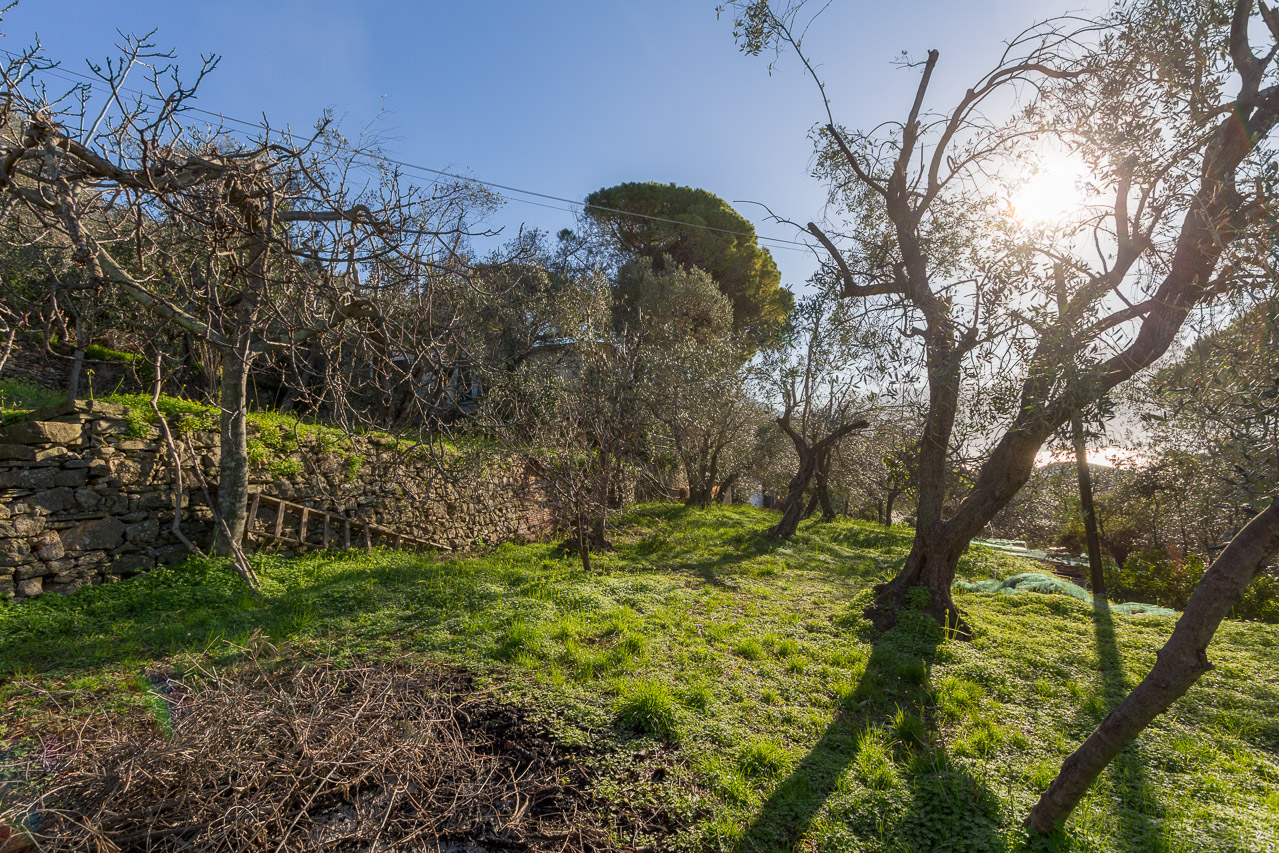 Terreno